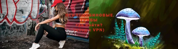 гидропоника Абаза