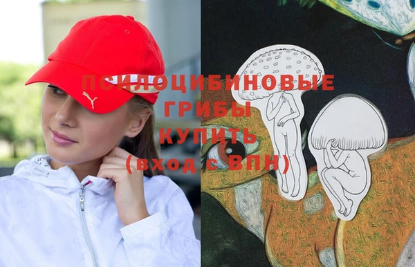 гидропоника Абаза