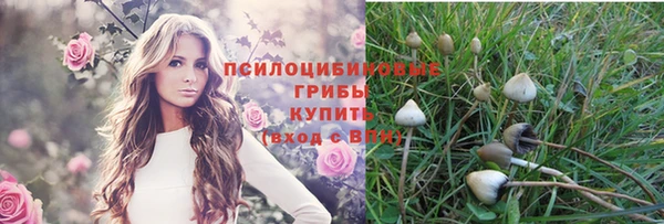 ешки Абдулино
